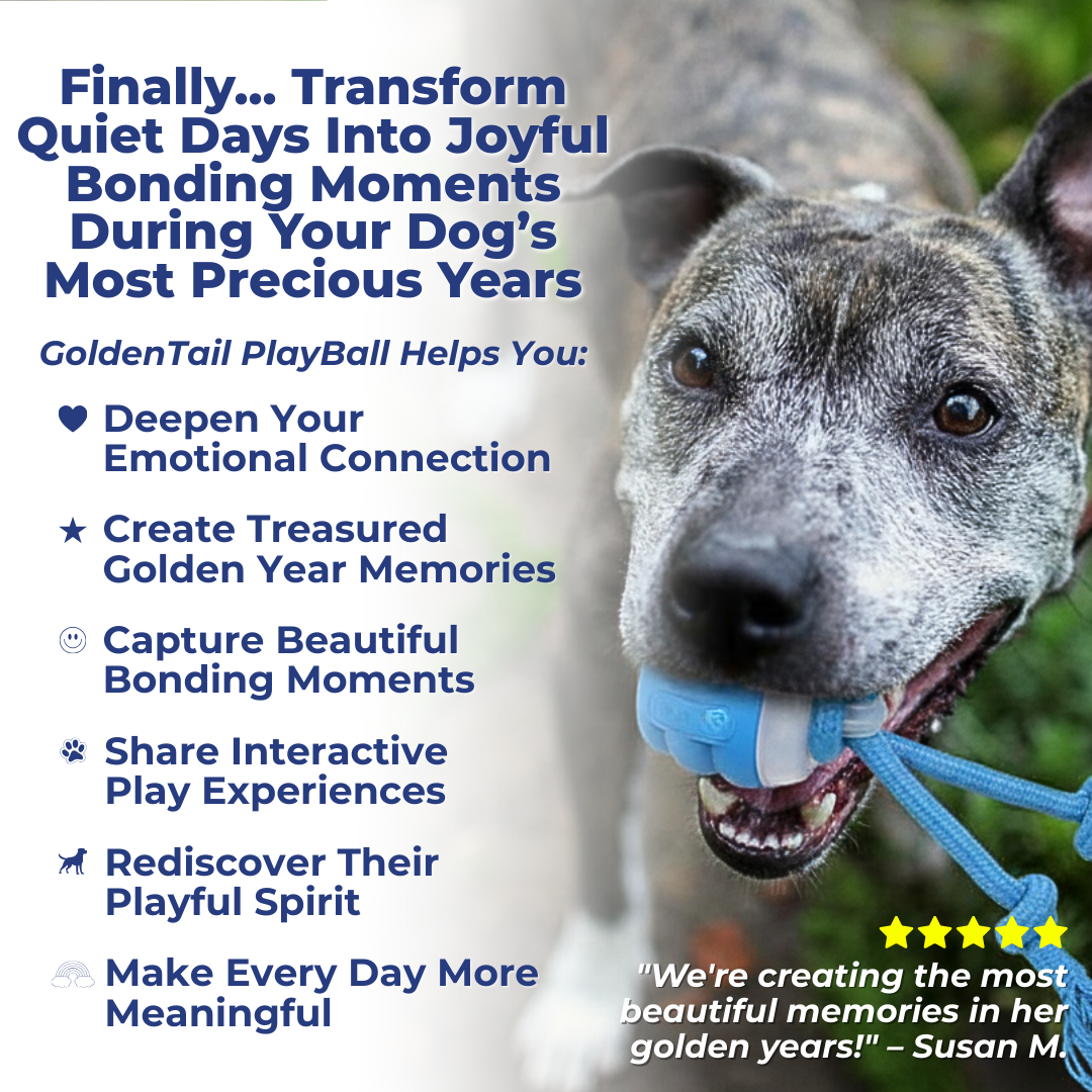 The Interactive Toy That Builds Deeper Bonds During Their Golden Years