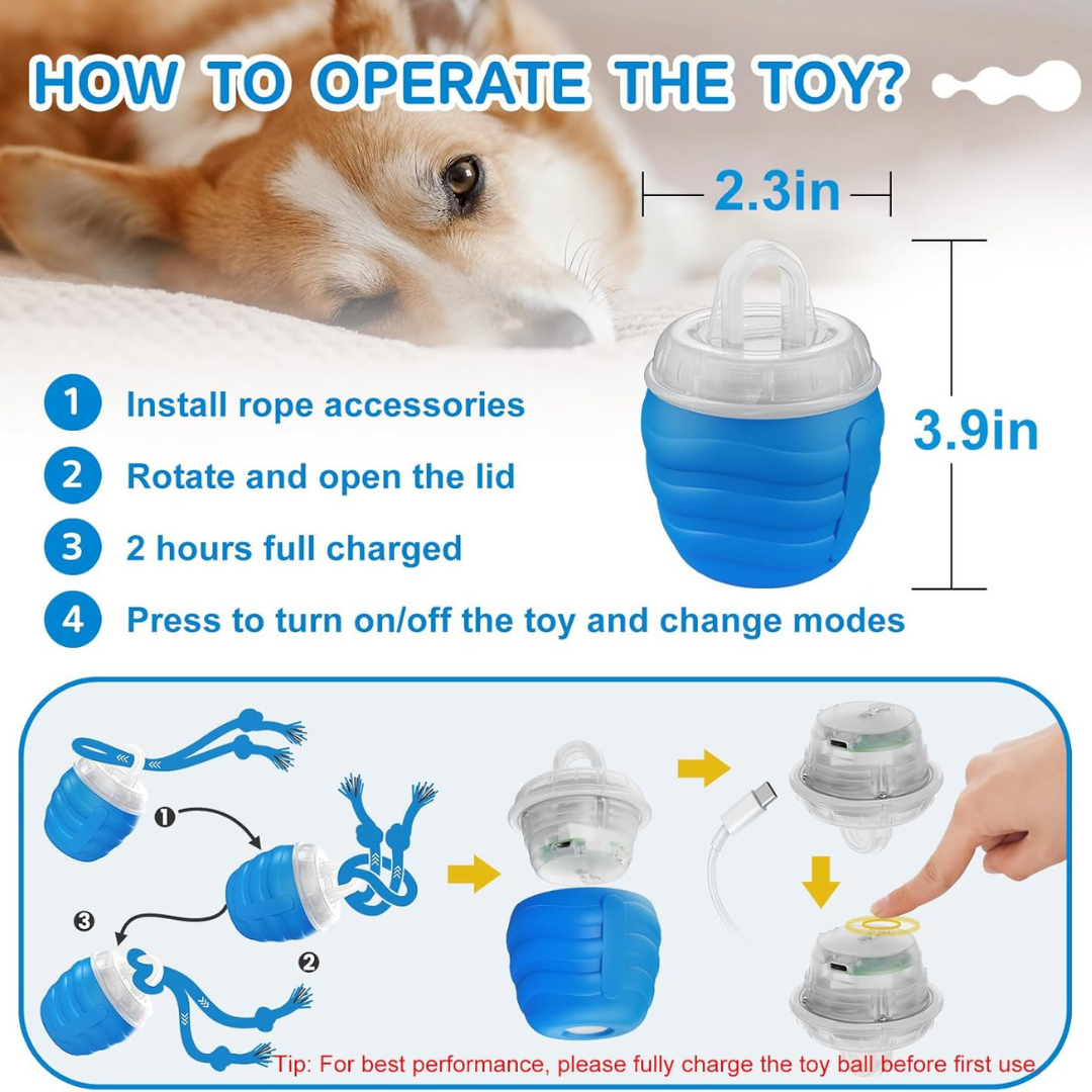 The Smart Toy That Brings Out Your Senior Dog's Playful Side