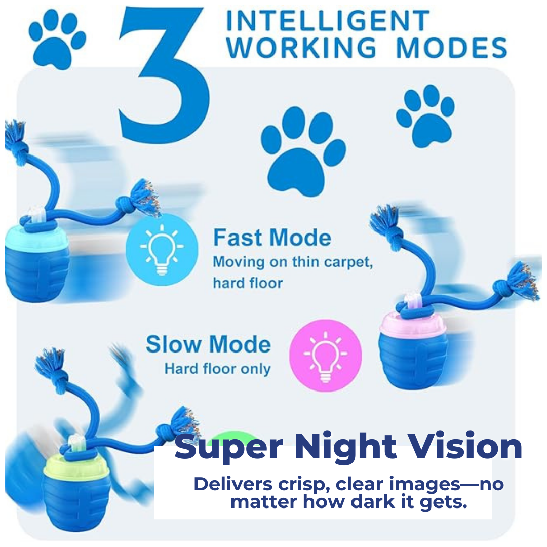 The Smart Toy That Brings Out Your Senior Dog's Playful Side