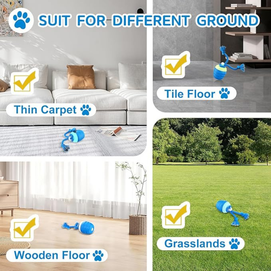 The Smart Toy That Brings Out Your Senior Dog's Playful Side